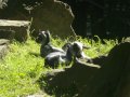 IMGP0807.JPG